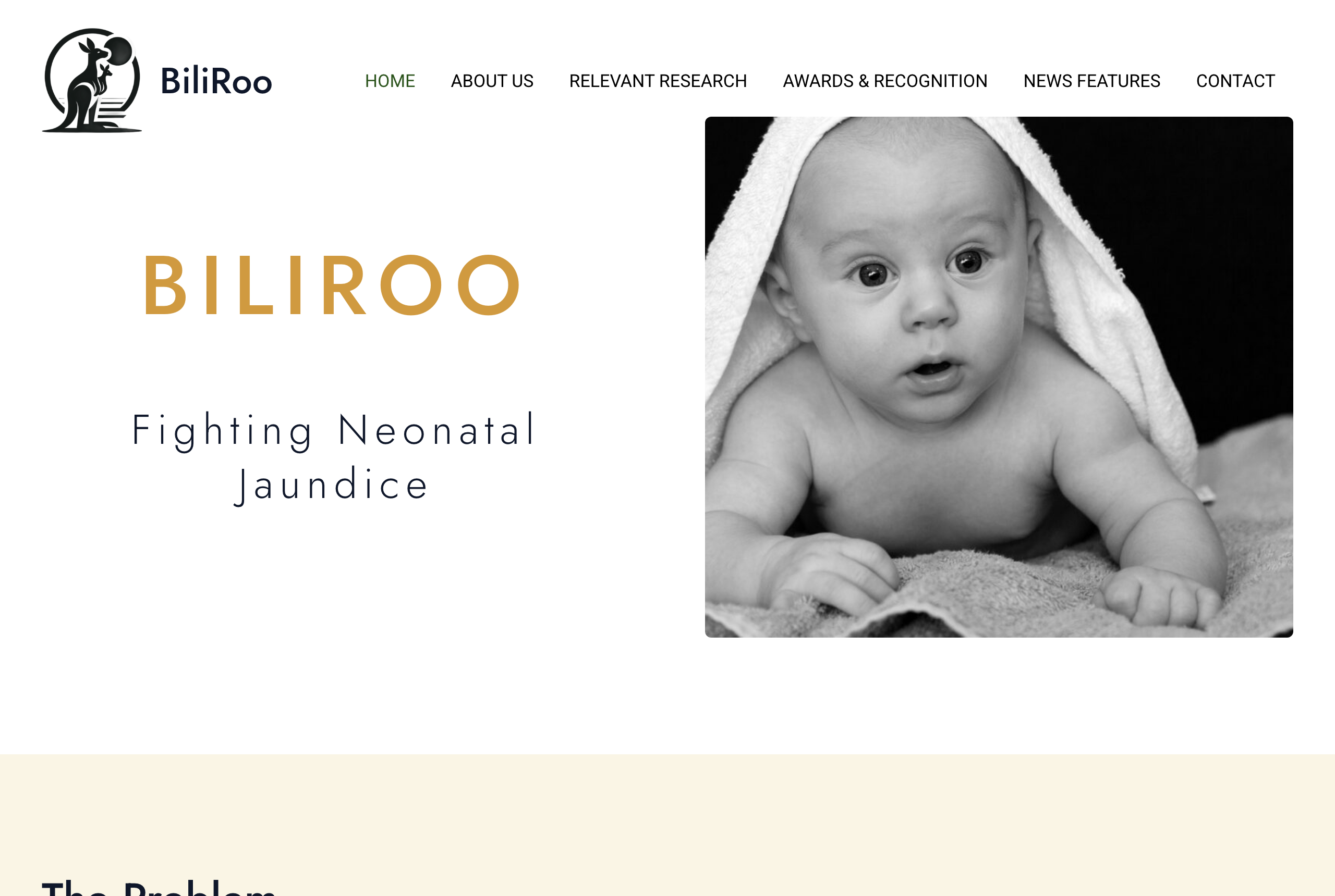 Biliroo website preview